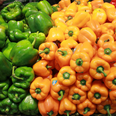 capsicum2